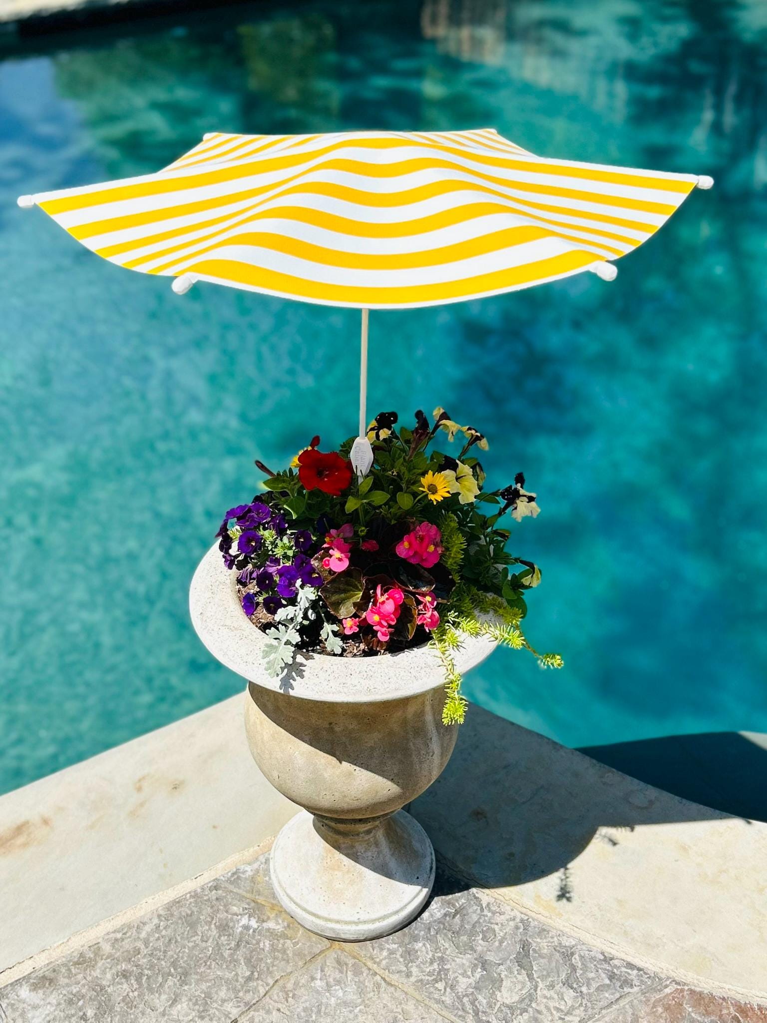 Plant Cabana™ – All the Sun. None of the Heat. Beautiful Protection for Potted Plants. 28” Wide x 30” Tall. Simple Assembly Required.